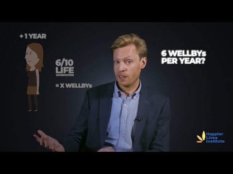 Module 4: Common WELLBY questions