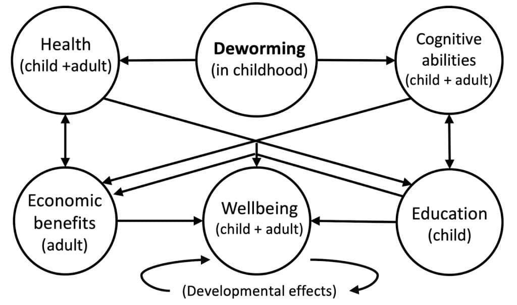 Diagram showing the relationship between deworming, wellbeing, and cognitive abilities across ages.