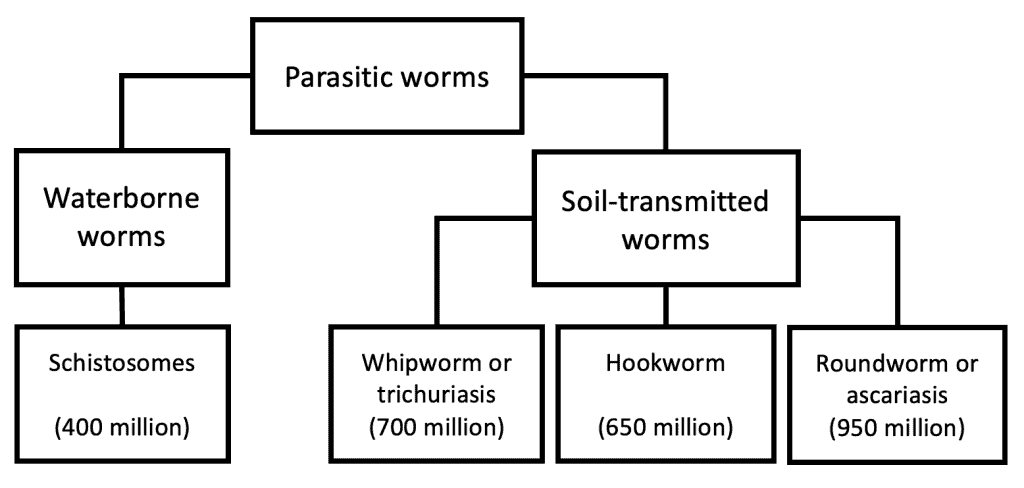 Diagram showing types of parasitic worms and their impact on wellbeing.