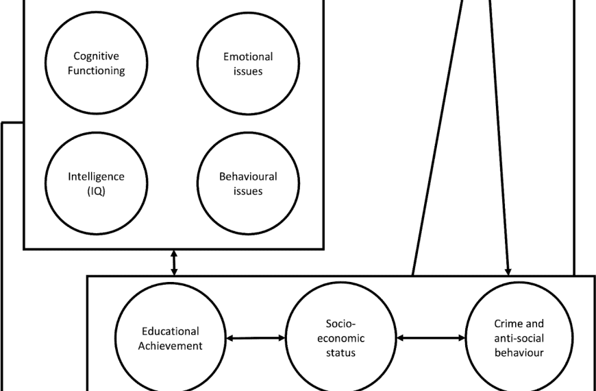 Diagram showing how lead exposure affects health, cognition, behavior, and socio-economic status.