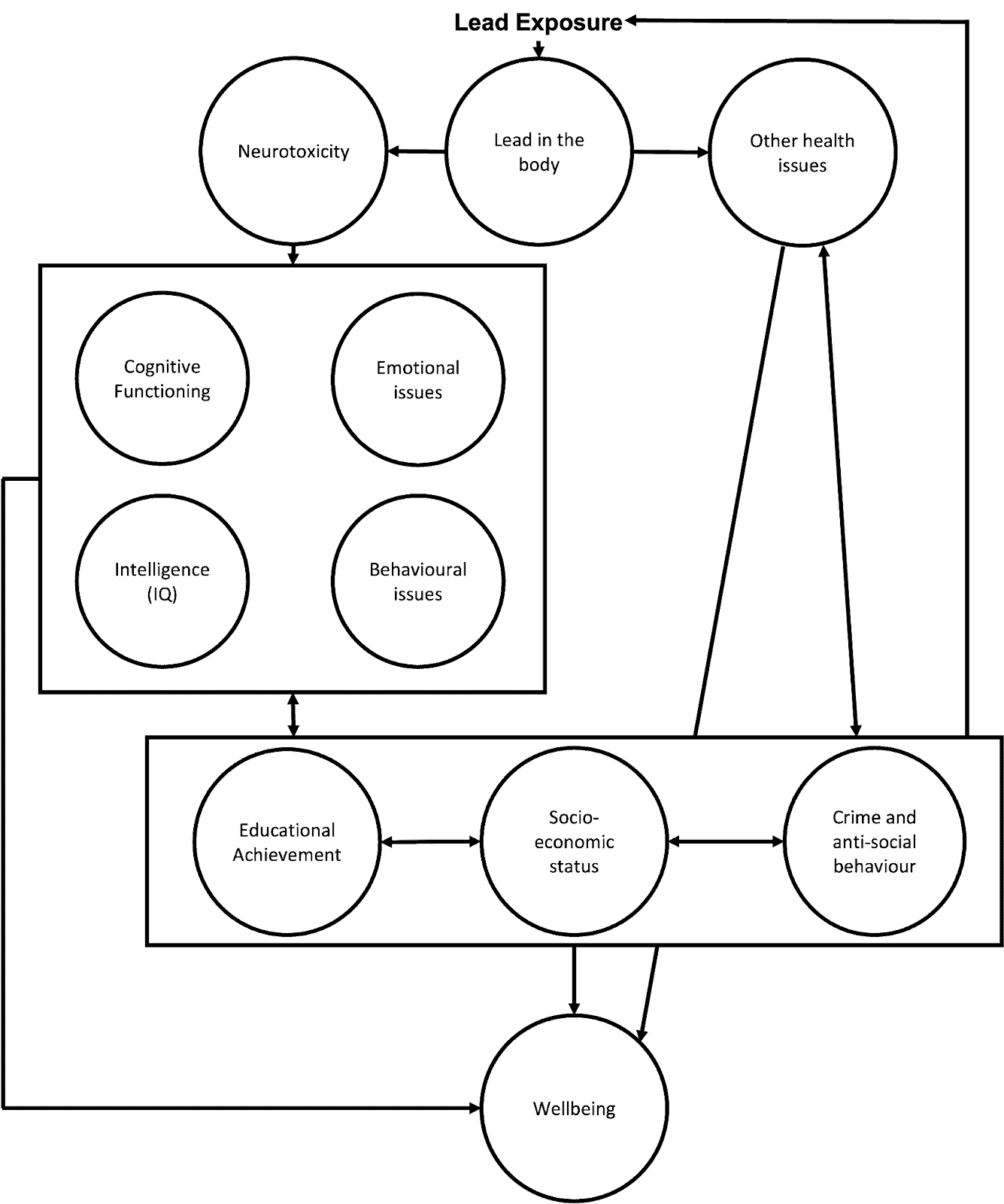 Diagram showing how lead exposure affects health, cognition, behavior, and socio-economic status.