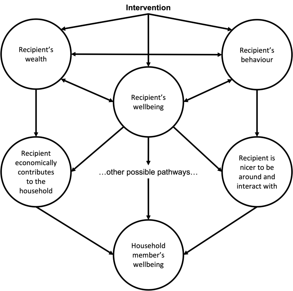 Diagram of how an intervention might reach other household members. It affects the recipient's wealth, wellbeing and behaviour, which in turn feed into economic contribution to the household and being easier to be around, both of which raise household members' wellbeing.